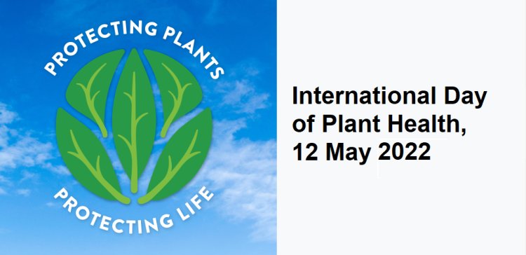 12 Mai – Ziua Internațională a Sănătății Plantelor