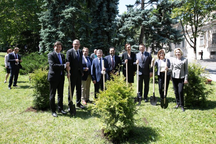 Șeful Legislativului, Igor Grosu, împreună cu omologi din Statele Nordice și Baltice au plantat copaci în fața Parlamentului