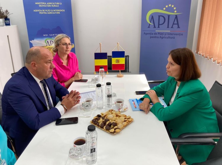 Directorul adjunct, Diana Coșalîc, în vizită oficială la București
