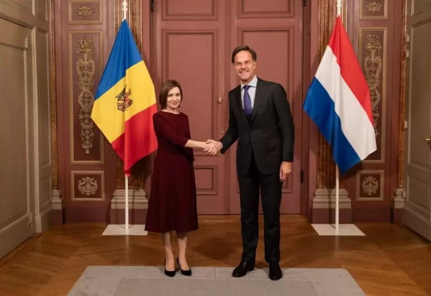 Șefa statului a avut o întrevedere cu Prim-ministrul Țărilor de Jos, Mark Rutte